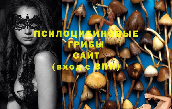 МДПВ Рославль