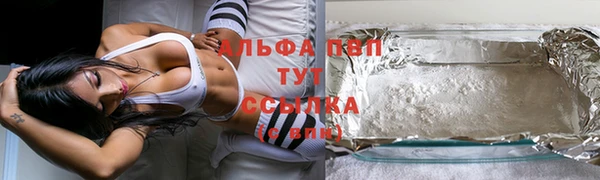 крисы Заводоуковск