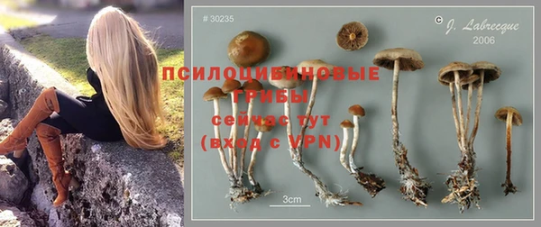 спиды Заволжье