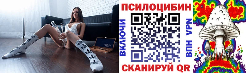 Псилоцибиновые грибы Cubensis  где можно купить наркотик  Морозовск 