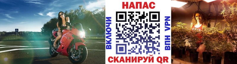 даркнет клад  Морозовск  Шишки марихуана семена 